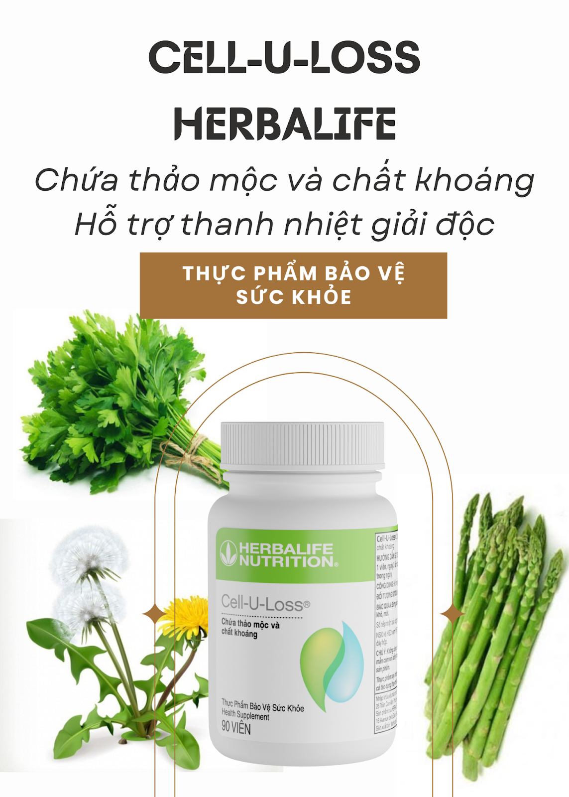 Cell U Loss Herbalife hỗ trợ thanh Nhiệt Giải Độc, Làm Đẹp- Thế Giới Hàng Ngoại 11 xNRWSE6FW2p6gFAPTI5fOZRCycS7xbA4 QUpLWRXInGZ8gQkZxStQ001TC NL4FkSIZV B SYnhT Res6f9CNi2CWMF3hJ0eBW5 j6qdEltuB644KPOLjmm42SxApngc0Qn hSC5JzmgQuAcMVifFnw