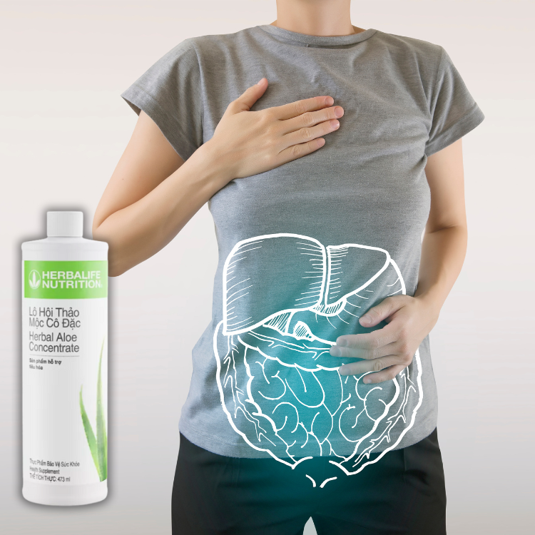 Khám phá thành phần Lô hội Herbalife - News 2 Lo hoi Herbalife 2