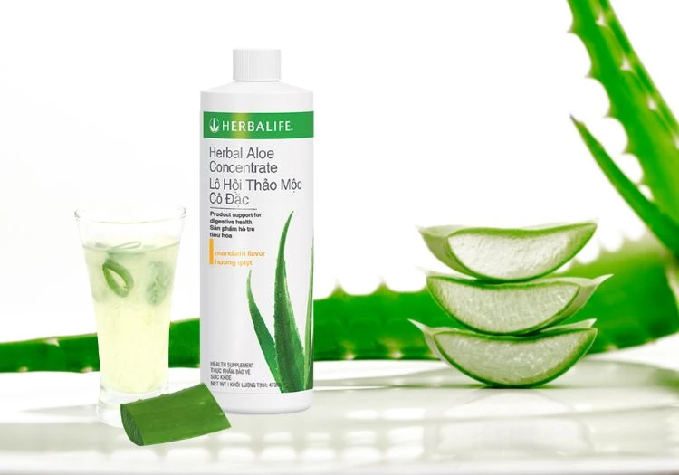 Khám phá thành phần Lô hội Herbalife - News 1 nuoc lo hoi herbalife 2274897j1506