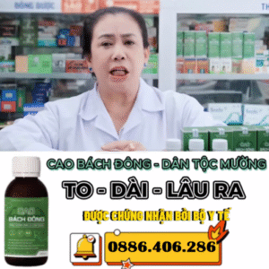 cao bach dong co tot khong 510x503 1