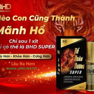 chai xit thao duoc bo hoan duong super 6 bovnz