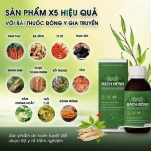 thanh phan cao bach dong keo dai thoi gian nam 510x502 1