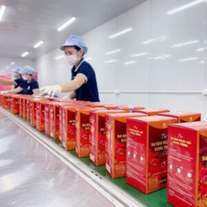 Trà ba kích ngọc cẩu đông trùng 11 bakich2