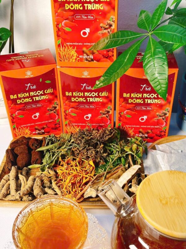 Trà ba kích ngọc cẩu đông trùng 24 bakich3