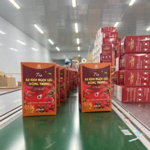 Trà ba kích ngọc cẩu đông trùng 13 bakich4