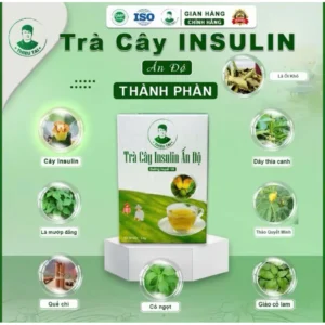 Alternative view of Trà cây Insulin Ấn Độ THIỀU TÀI