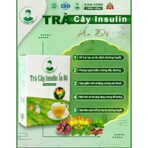 Trà cây Insulin Ấn Độ THIỀU TÀI 13 trando2