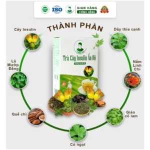 Trà cây Insulin Ấn Độ THIỀU TÀI