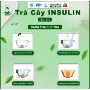 Trà cây Insulin Ấn Độ THIỀU TÀI 18 trando7