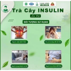 Trà cây Insulin Ấn Độ THIỀU TÀI 19 trando8