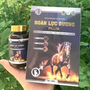 Viên Uống Hoàn Lực Dương Plus Chính Hãng - Hộp 50 Viên 11 hoan luc duongJPG