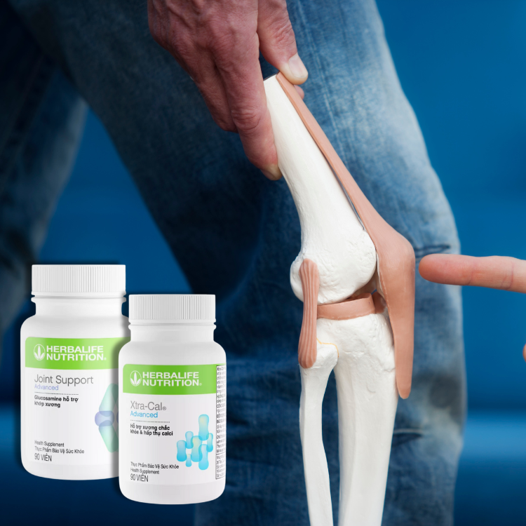 Bộ xương khớp Herbalife chính hãng (Xtra-Cal, Joint Support) 9 Bo xuong khop cua Herbalife