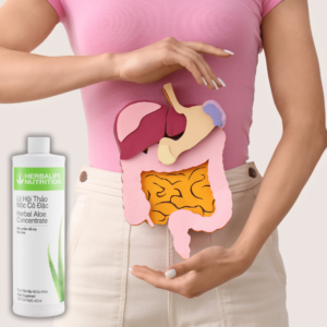 Lô hội Herbalife có mấy vị? Vị nào ngon nhất? - News
