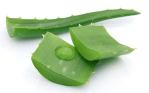 Nước lô hội Herbalife có tốt không? - News